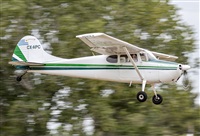 �Flavio Garc�a. Click to see full size photo