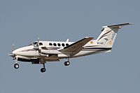 Jos Miguel Bernases - Noisy Spotters. Click to see full size photo