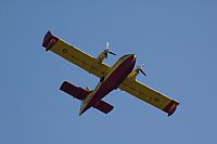 Adrin Chapela Cordeiro - Gallaecia Spotters. Click to see full size photo