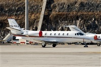 Javier de la Cruz - CANARY ISLANDS SPOTTING. Click to see full size photo