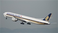 Rubn Gil - Noisy Spotters. Click to see full size photo
