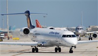 Rubn Gil - Noisy Spotters. Click to see full size photo