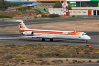 Javier de la Cruz - CANARY ISLANDS SPOTTING. Click to see full size photo