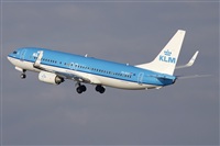 Jos Miguel Bernases - Noisy Spotters. Click to see full size photo