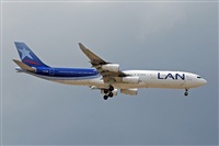 Miguel A. gueda Rguez.  (CANARY ISLANDS SPOTTING). Click to see full size photo