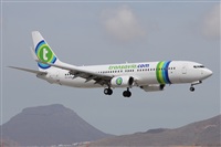 Alfonso Sols - Asociacin Canary Islands Spotting. Click to see full size photo