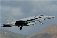 Gerardo A. Prez   Canary Islands Spotting. Click to see full size photo