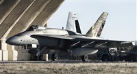 JAVIER  BARBE(SPOTTER MAOS). Click to see full size photo