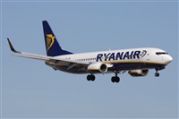 Alfonso Sols - Asociacin Canary Islands Spotting. Click to see full size photo