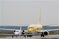 Rodrigo Carvalho - Noisy Spotters. Click to see full size photo