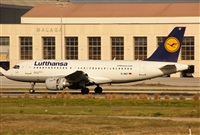 ©Salvador de la Rubia ( Marbella Spotters ). Click to see full size photo ©Salvador de la Rubia ( Marbella Spotters ). Click to see full size photo