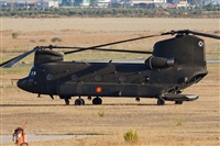 David Manuel Tobarra Ruiz - Spotters Murcia. Click to see full size photo