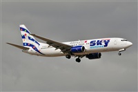 Miguel A. gueda Rguez.  (CANARY ISLANDS SPOTTING). Click to see full size photo
