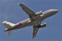 Miguel A. gueda Rguez.  (CANARY ISLANDS SPOTTING). Click to see full size photo