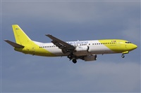 ©Alfonso Solís - Asociación Canary Islands Spotting. Click to see full size photo ©Alfonso Solís - Asociación Canary Islands Spotting. Click to see full size photo
