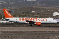 Luciano Fumero( freedom spotter)canary island spotting. Click to see full size photo