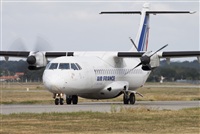 Miguel Alia - Noisy Spotters. Click to see full size photo