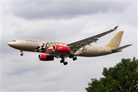 Miguel A. gueda Rguez.  (CANARY ISLANDS SPOTTING). Click to see full size photo