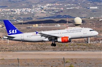 Miguel A. gueda Rguez.  (CANARY ISLANDS SPOTTING). Click to see full size photo