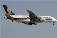 Rubn Gil - Noisy Spotters. Click to see full size photo