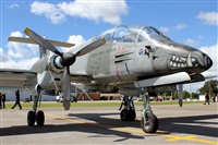 Ral Zamora M. Click to see full size photo