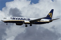 Alfonso Sols - Asociacin Canary Islands Spotting. Click to see full size photo