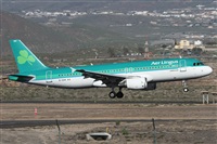 Alfonso Sols - Asociacin Canary Islands Spotting. Click to see full size photo