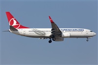 Miguel Alia - Noisy Spotters. Click to see full size photo