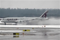 Rubn Gil - Noisy Spotters. Click to see full size photo