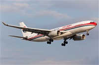 Miguel Alia - Noisy Spotters. Click to see full size photo