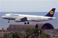 Adolfo Bento - Gran Canaria Spotters. Click to see full size photo