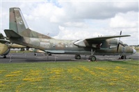 Alfonso Sols - Asociacin Canary Islands Spotting. Haz click para ampliar