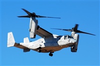 J. Victor Vega-Gran Canaria Spotters. Click to see full size photo