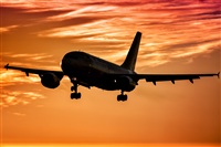 Javier de la Cruz - CANARY ISLANDS SPOTTING. Haz click para ampliar