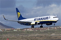 Saimon J Rodriguez   -   Canary Islands Spotting. Click to see full size photo