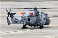 alber r.s.   BasqueSpotting. Click to see full size photo