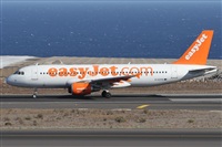©Alfonso Solís - Asociación Canary Islands Spotting. Click to see full size photo ©Alfonso Solís - Asociación Canary Islands Spotting. Click to see full size photo