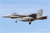 David Manuel Tobarra Ruiz - Spotters Murcia. Click to see full size photo
