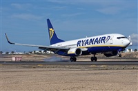 Bartolom Fernndez - Gran Canaria Spotters. Click to see full size photo