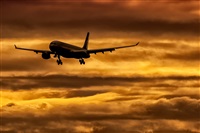 Javier de la Cruz - CANARY ISLANDS SPOTTING. Haz click para ampliar