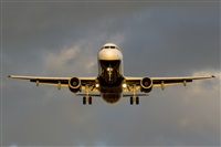 Saimon J Rodriguez   -   Canary Islands Spotting. Click to see full size photo