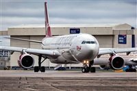 Javier de la Cruz - CANARY ISLANDS SPOTTING. Click to see full size photo