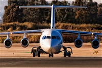 Javier de la Cruz - CANARY ISLANDS SPOTTING. Click to see full size photo