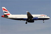 Alfonso Sols - Asociacin Canary Islands Spotting. Click to see full size photo