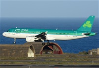 ©Alejandro H.L - Gran Canaria Spotters. Click to see full size photo ©Alejandro H.L - Gran Canaria Spotters. Click to see full size photo
