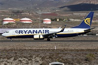 Alfonso Sols - Asociacin Canary Islands Spotting. Haz click para ampliar