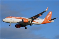 Miguel A. gueda Rguez.  (CANARY ISLANDS SPOTTING). Click to see full size photo