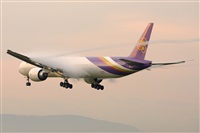Miguel A. gueda Rguez.  (CANARY ISLANDS SPOTTING). Click to see full size photo