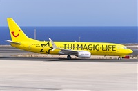 David Delgado Fumero (CanaryIslandSpotting). Click to see full size photo