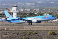 Miguel A. gueda Rguez.  (CANARY ISLANDS SPOTTING). Click to see full size photo